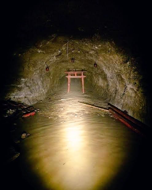 AnimexTwts's tweet photo. i am NOT going in that tunnel https://t.co/DmqNipLbAw