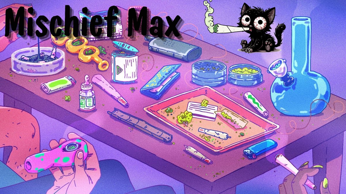mischief_maxsol's tweet photo. I think Max is feeling a little left out. 🫤
Lets all give a warm welcome to the newest cat on the Solana blockchain.🥳😻 LFG! #MischiefMax

CA: 86mkfeSyftsbhWBzSpQGzFgEFUA9c6ZqfPGYVDXBQUZs https://t.co/yhsVLFZEai