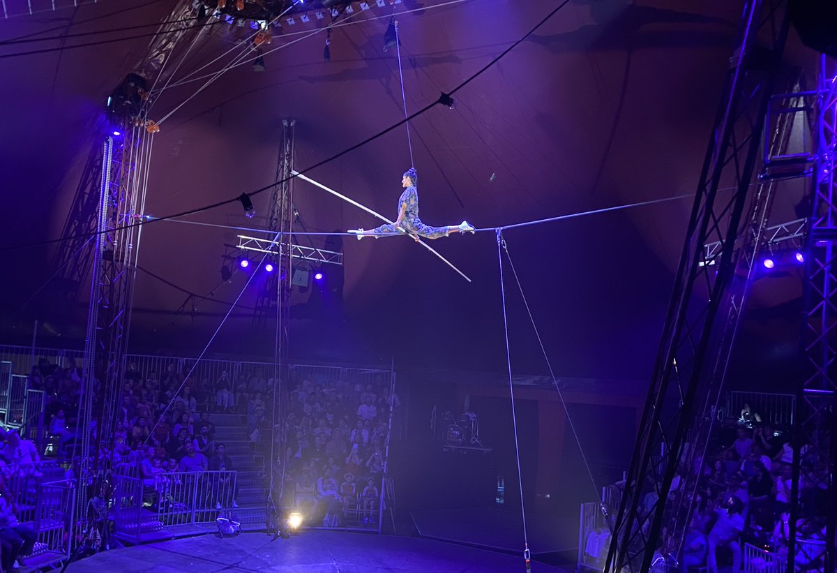 Lorna Lee tweet media