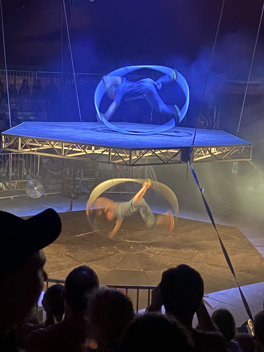 Lorna Lee tweet media