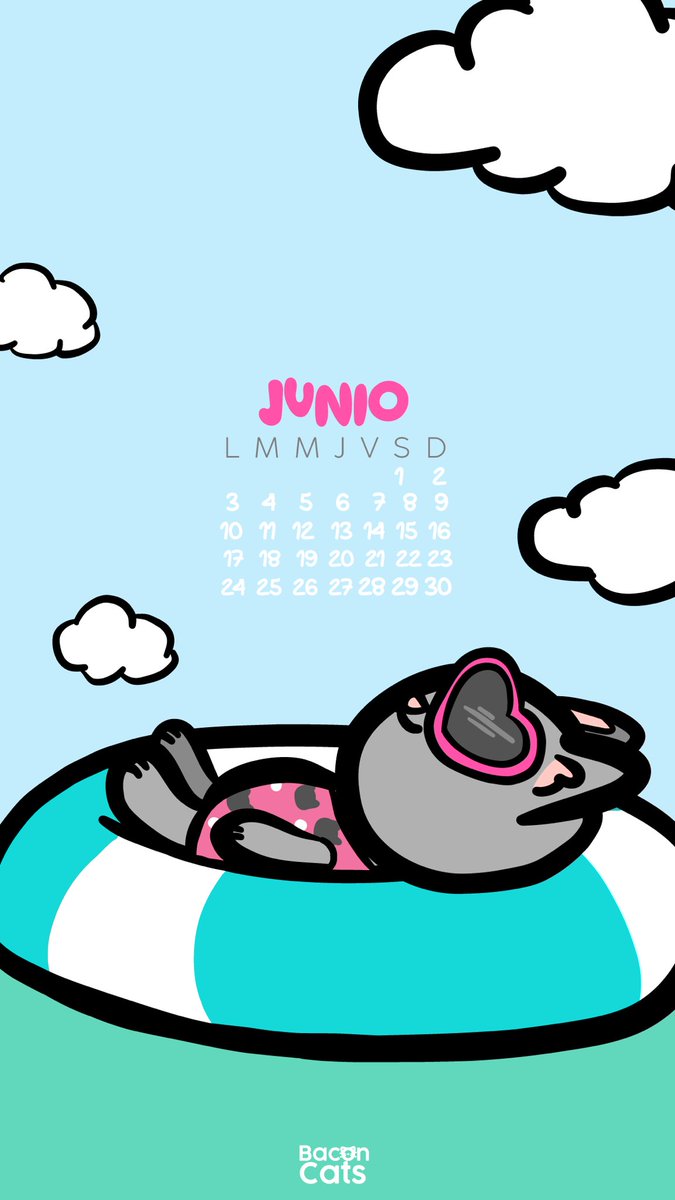 Bacon Cats tweet media