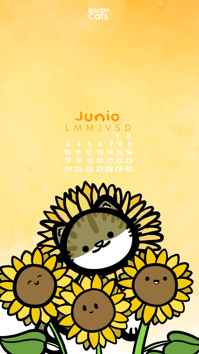 Bacon Cats tweet media