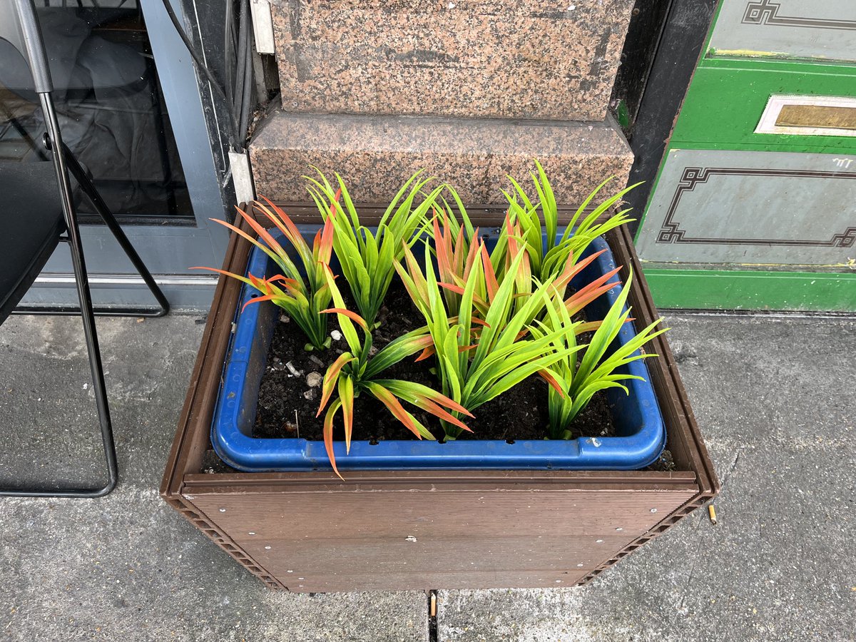 When you need to buy soil and compost to plant plastic grass, water them and hope they’ll grow well! 🤷‍♀️