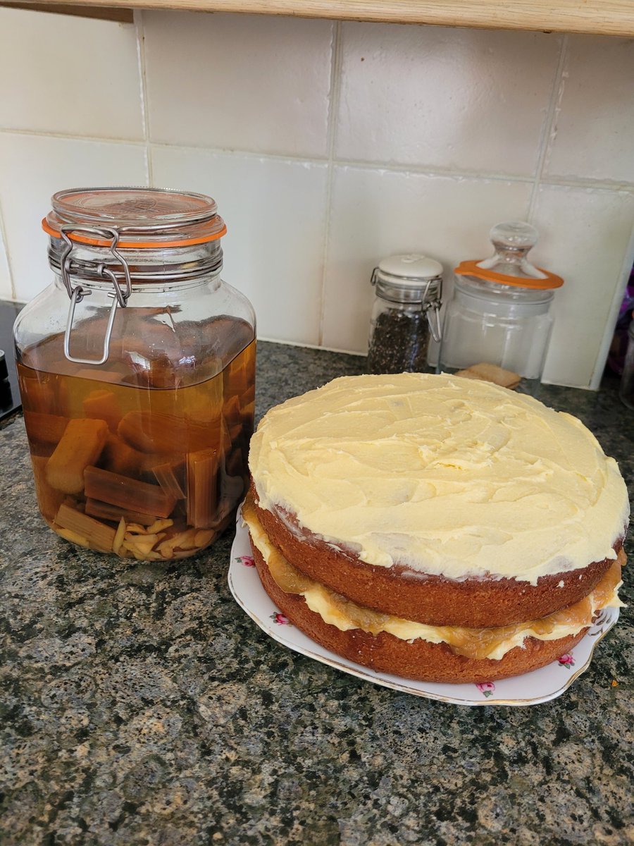 Damian_Quinn666's tweet image. Rhubarb harvest from the lottie today and last year's bounty baked into a delicious custard cake and flavored gin. 😋👌🍰🍷
#rhubarb #homebaking #ginmaking #allotmentlife