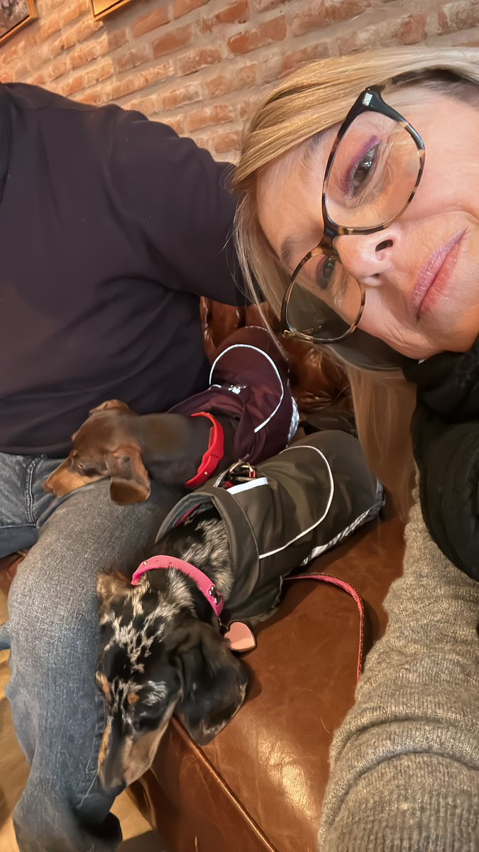 Martulity's tweet photo. Nos vinimos a brunchear los 4 y Pippa se está portando medio cómo el orto xq le ladra al mozo 🥴🥴🥴 #EducandoAPippa 💘🐶🐶💘 https://t.co/5VQGXkOcWw