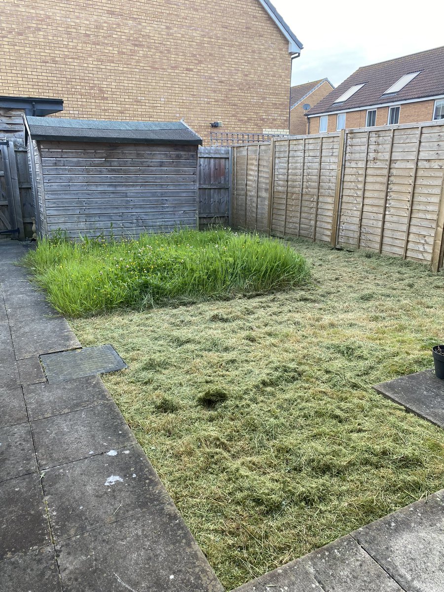AliAlway3's tweet photo. @_JoelAshton I’ve kept a section back for #biodiversity
in my little back garden after joining in with #nomowmay 
#nomowsummer https://t.co/IbKbXxQFUE