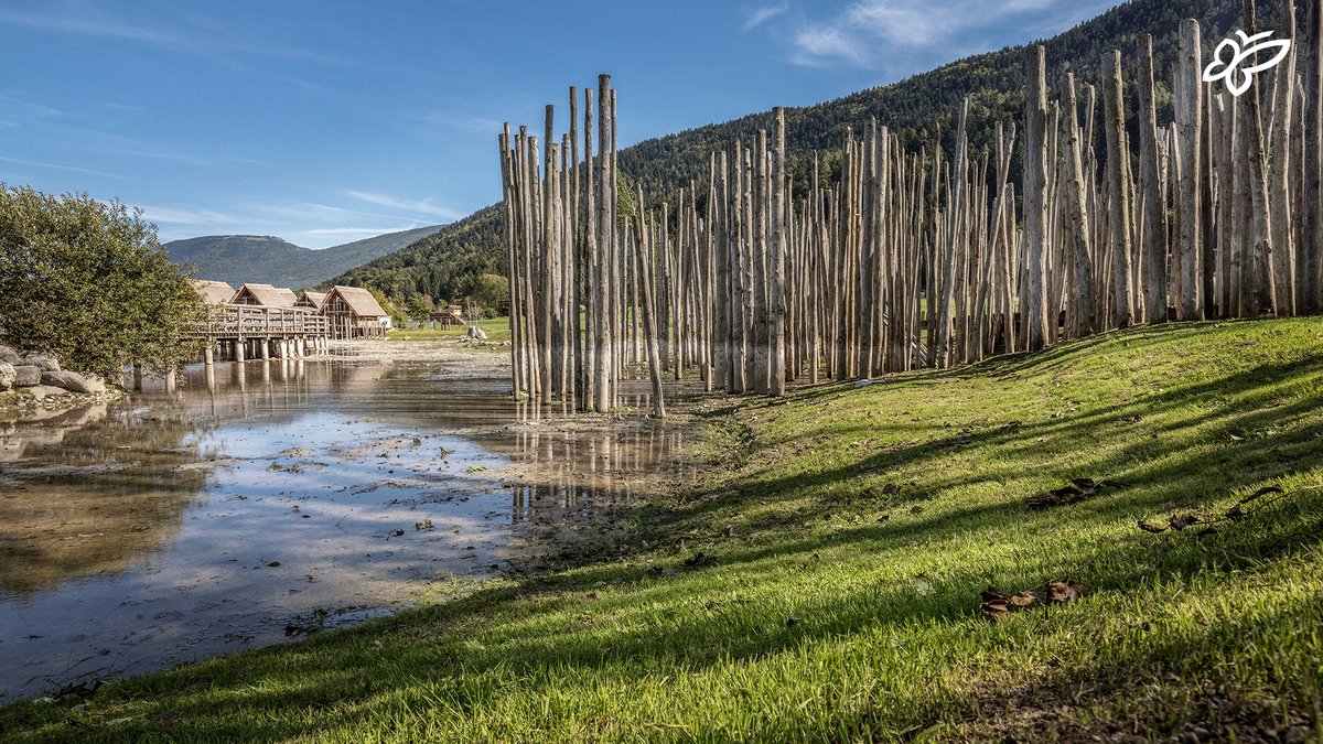 A jump into Trentino's prehistory 🔙 The Parco Archeo Natura Fiavé lets you experience how people used to live in the Bronze Age in Trentino ➡️ tinyurl.com/ParcoArcheoNat…

[📷 D. Lira]
#visittrentino #trentinowow #springintrentino