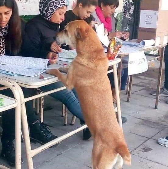 Chescan4's tweet image. Búsquele bien ¿cómo que no estoy? A ver, dele otra hojeada con calma.