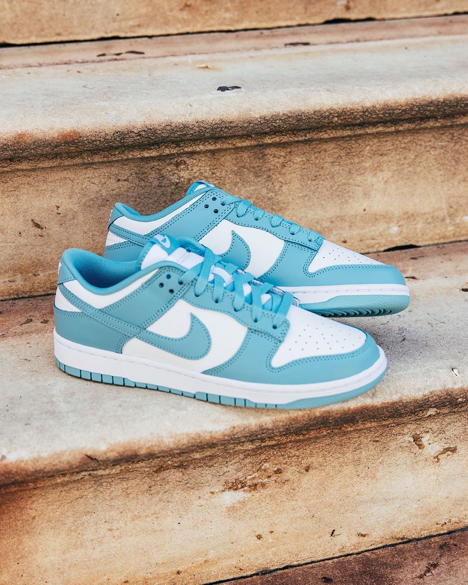 nike dunk low coast the line