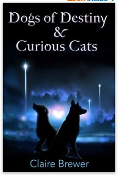 DogsOfDestiny's tweet photo. @Merriman1792 Eer wondered where dogs and cats really comes from? #DogsOfDestiny #dogs #CatsLovers #cbb #bbc #channel4 https://t.co/4DNKlqxSdk