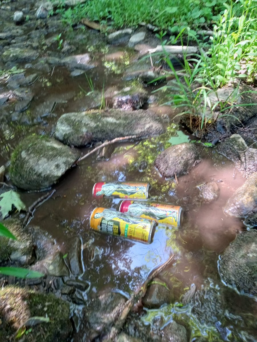 TeamFixerize's tweet photo. Landing it in the water doesn't have to be rough. @APinv  @MillerCoors https://t.co/yXJjq6Dpyt