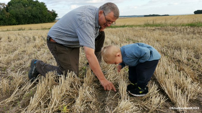 Canteline's tweet photo. Great initiative, thank you to all the volunteers.
Let's make it happen together! ๐๐ฑ
#SaveSoil
#GenerationRestoration
#ConsciousPl https://t.co/QcHcG6bOK8