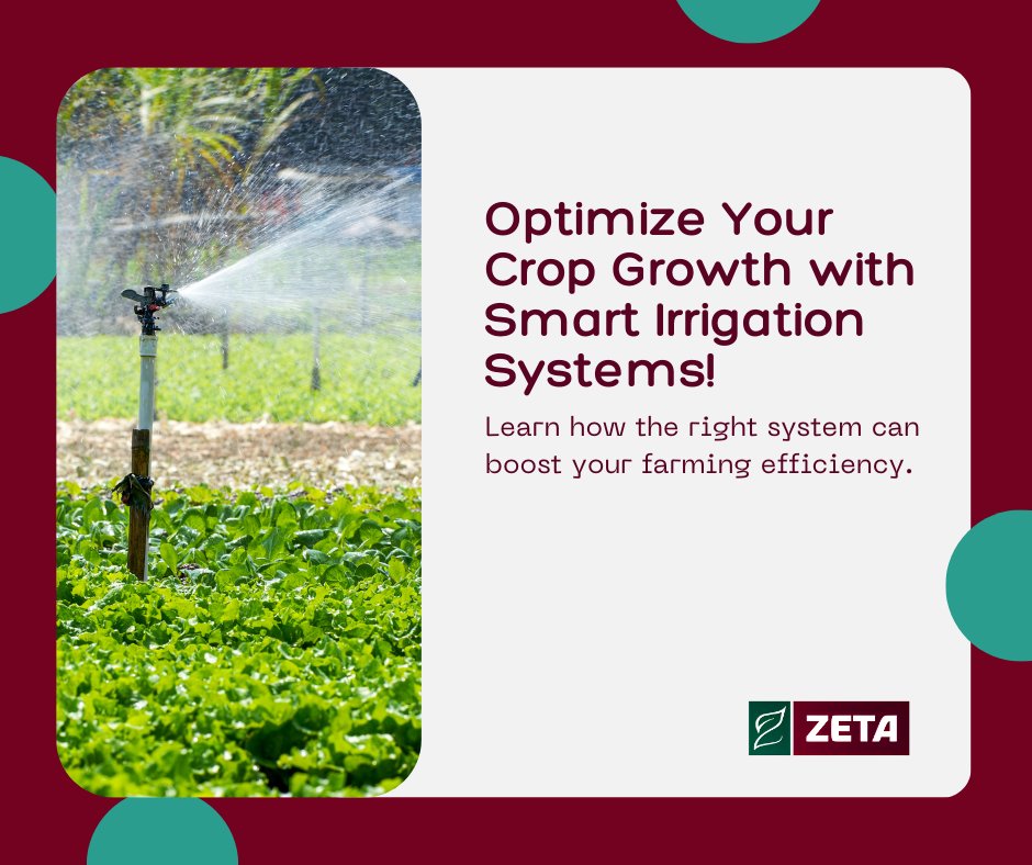 ZetaIrrigation's tweet image. Optimize your crop growth with smart irrigation systems from Zeta Systems! Achieve higher yields and water efficiency. 🌱💧📈
#ZetaSystems #SmartIrrigation #CropOptimization #HigherYields #WaterEfficiency