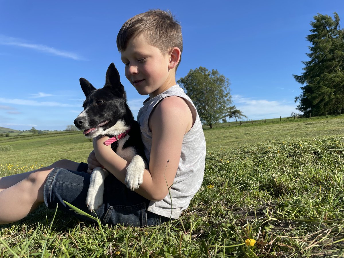 James Powell tweet media