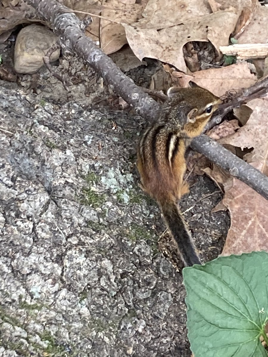 What is homie doin, you gotta run away my man I know you small but I can see you