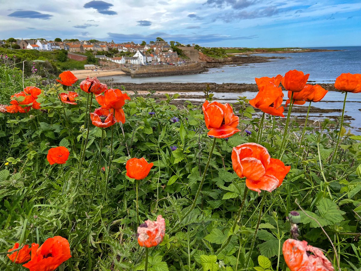 Crail looking bonnie.