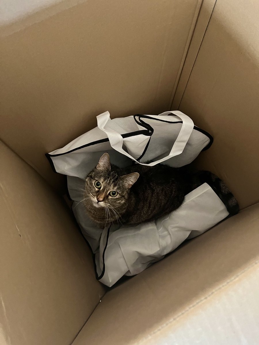 PickliciousF's tweet image. If you’re hearing noises in the background of my daddy’s Twitter Live it’s because this is happening #BigBox