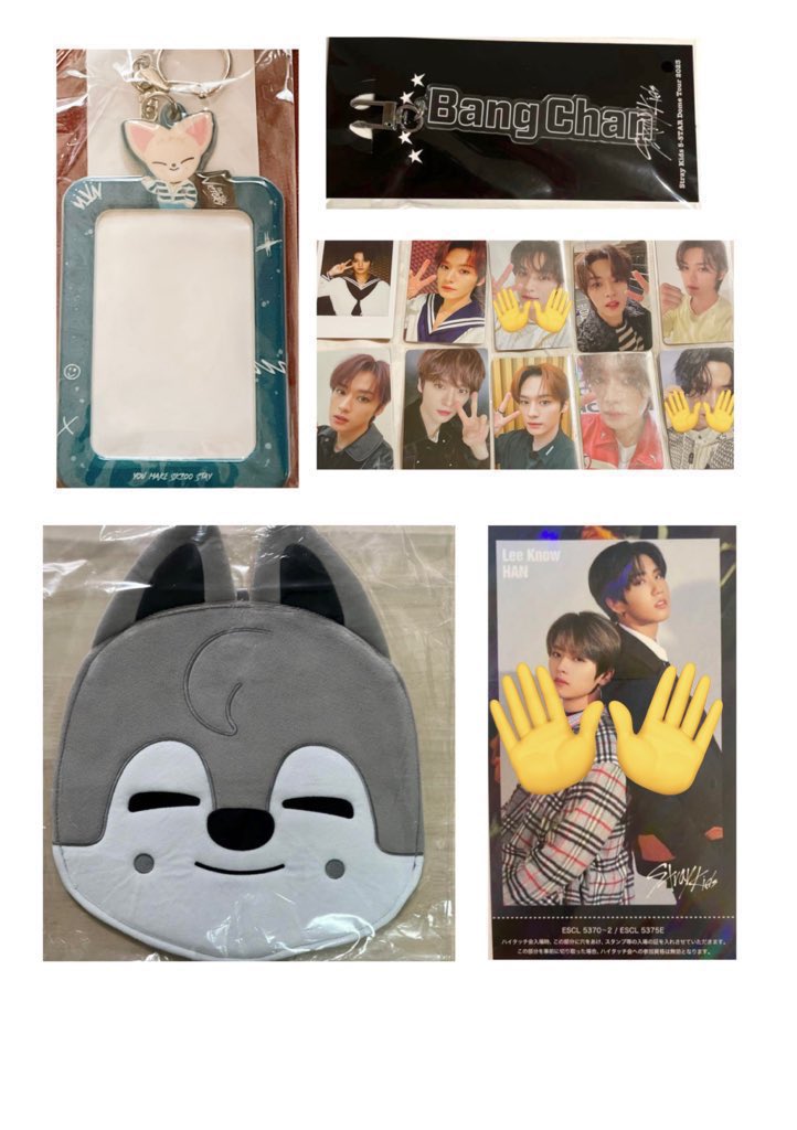 stray kids うちわケース うちわカバー 全メンバー 8枚セット コンプ