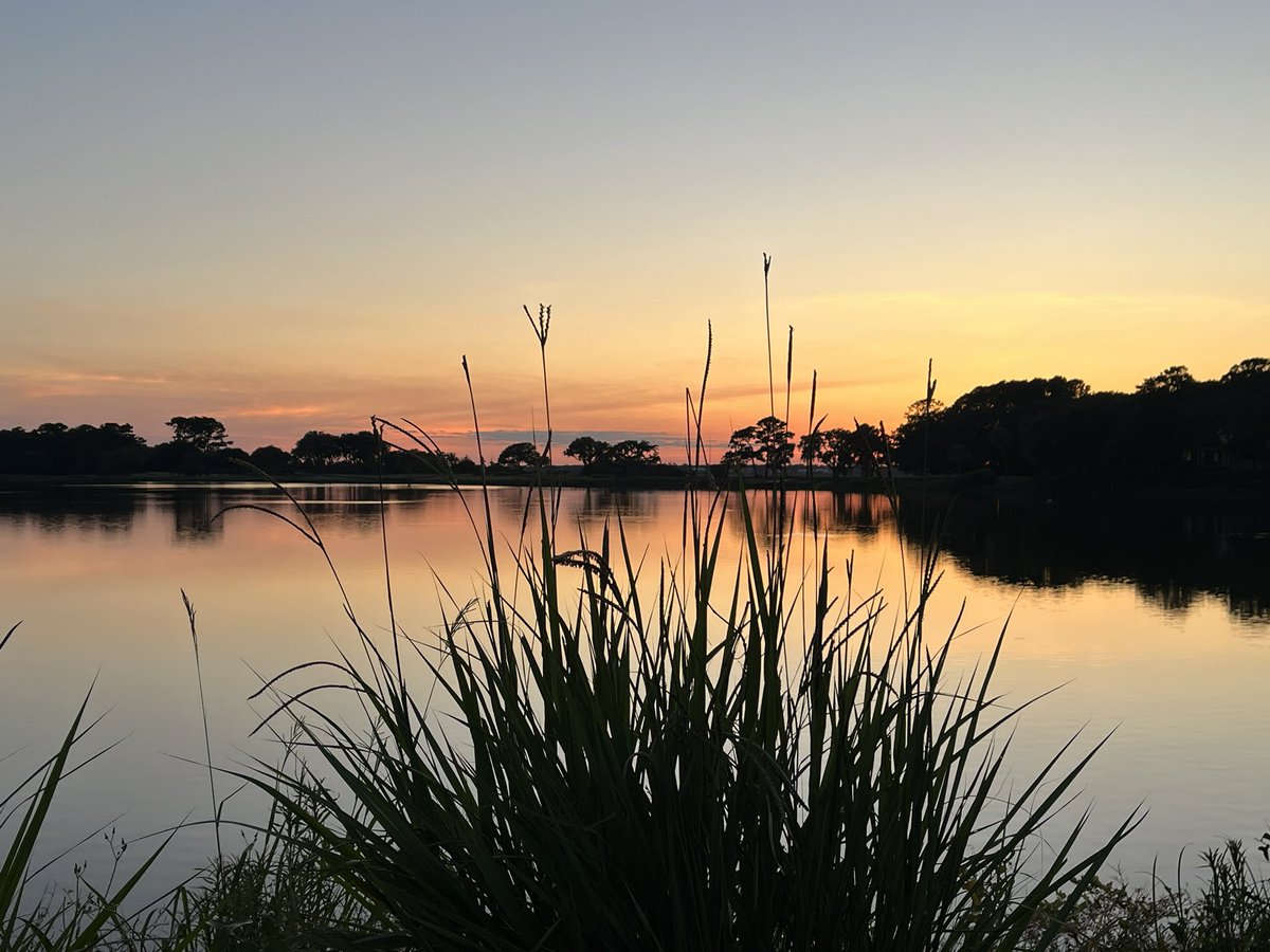 Jared Clark tweet media