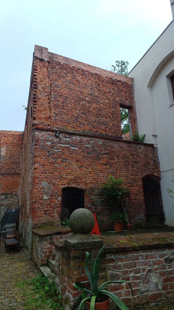 Anna Rake tweet media