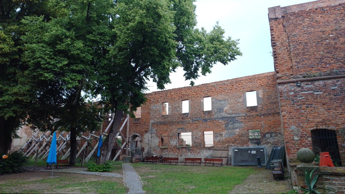 Anna Rake tweet media