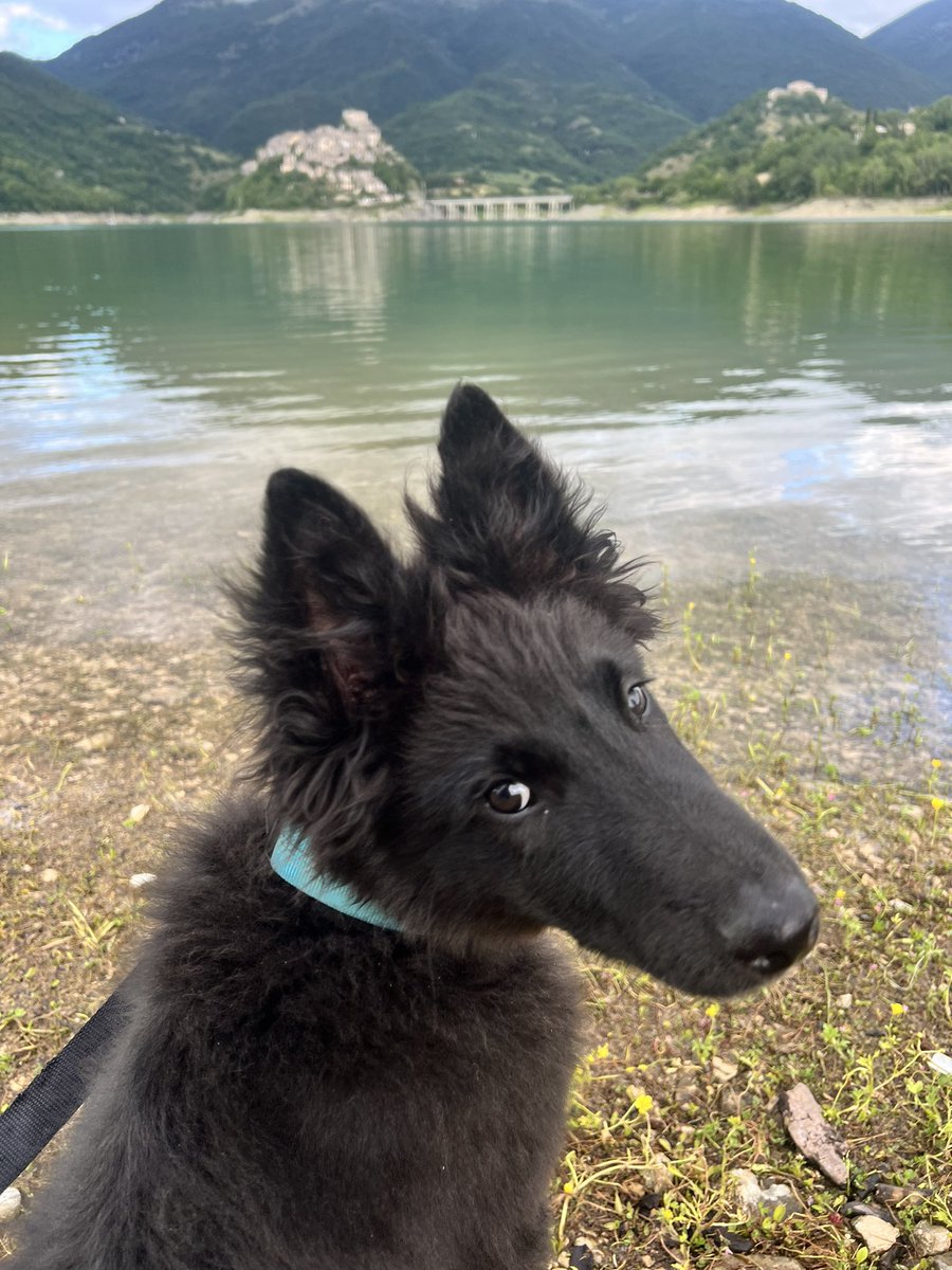 ValeriaCn12's tweet photo. Noi, da sempre, Turaners.
Perché il Salto glie spiccia casa. #lagodelturano https://t.co/rFr1bbKOWb