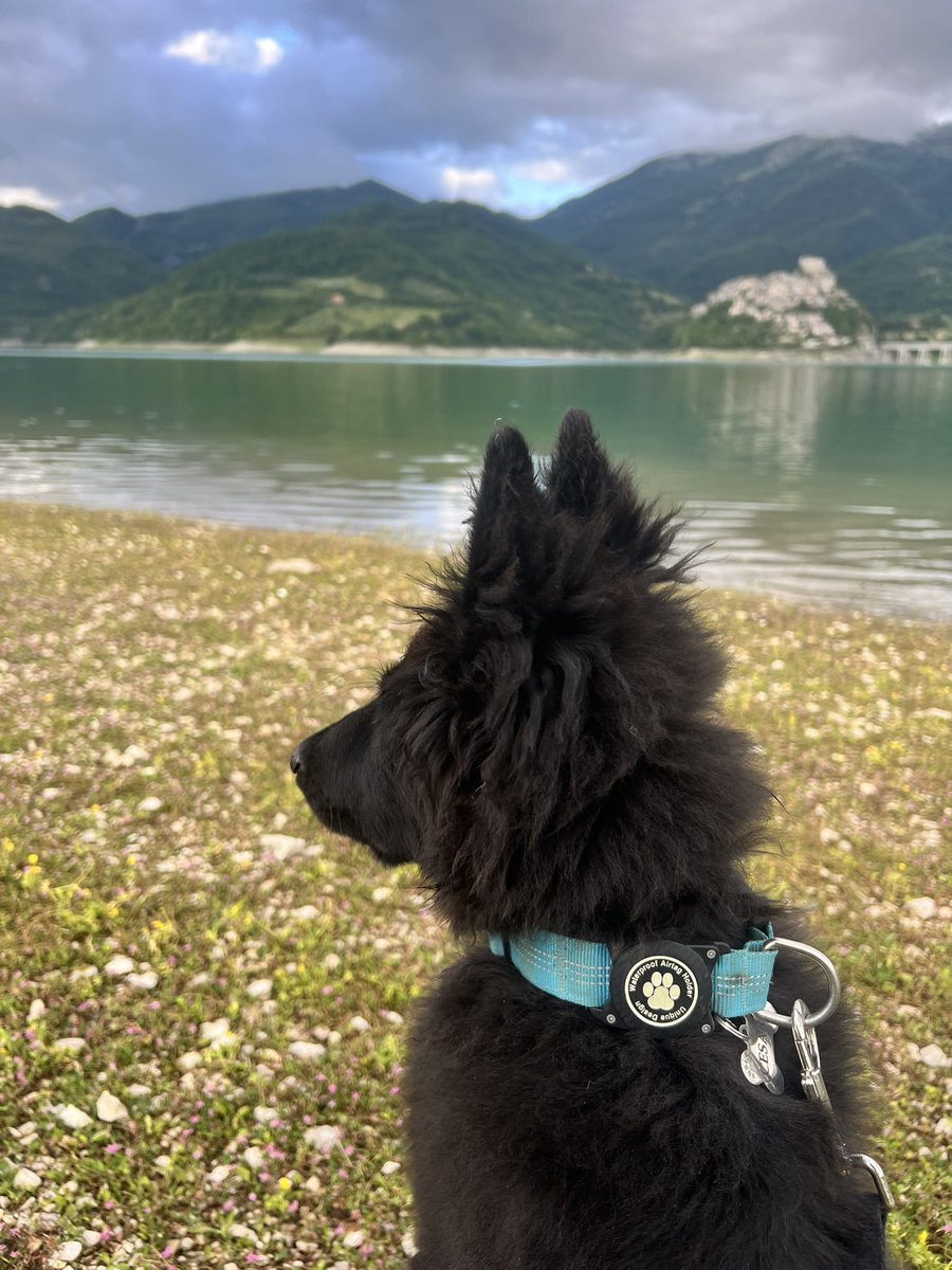 ValeriaCn12's tweet photo. Noi, da sempre, Turaners.
Perché il Salto glie spiccia casa. #lagodelturano https://t.co/rFr1bbKOWb