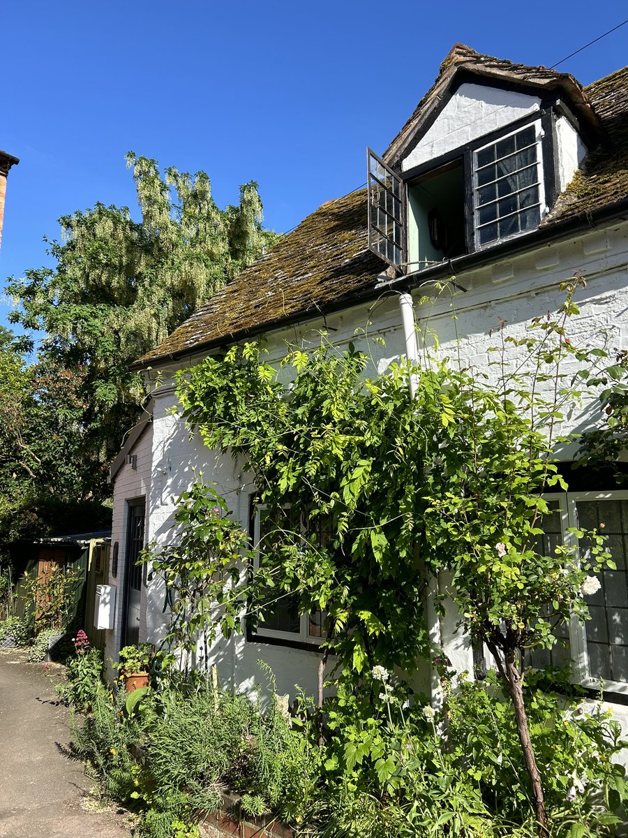 Days like today were made for Claire McCardell. I feel inexpressibly lucky to have been given a writing residency by the <a href="/HoskingHouses/">HoskingHousesTrust</a>, staying at the beautiful cottage to focus on my work for two blissful weeks. I have stepped into a whole other life. Dress c1950 <a href="/fidmmuseum/">FIDM Museum</a>