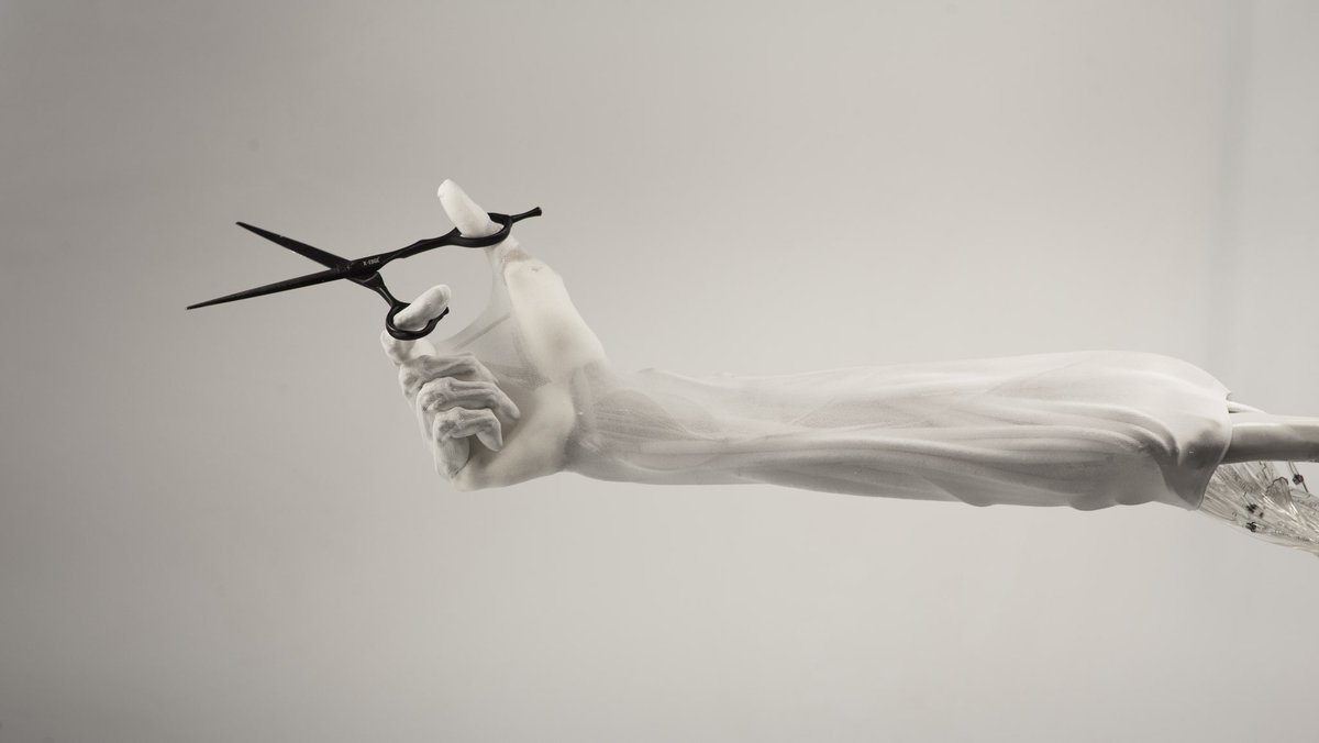 The ultimate tool user.