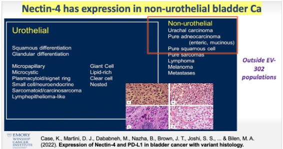 UroToday.com tweet media