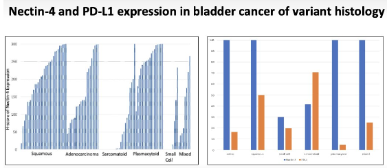 UroToday.com tweet media
