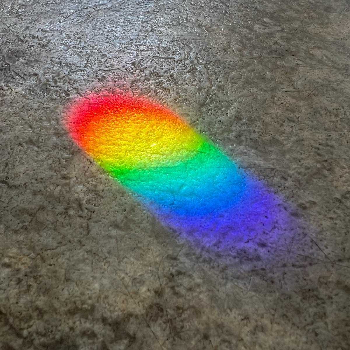 lifeisagala's tweet photo. "Prismatic Longings" – A spectral symphony, beckoning me to a place that was home. Recognizing the sublimity of the simple. Reminded that in the corners, where light dances unwitnessed, magic happens. Hoping my wandering leads to wonder—wherever home may be, and whoever I become. https://t.co/OcIhZyWdeR