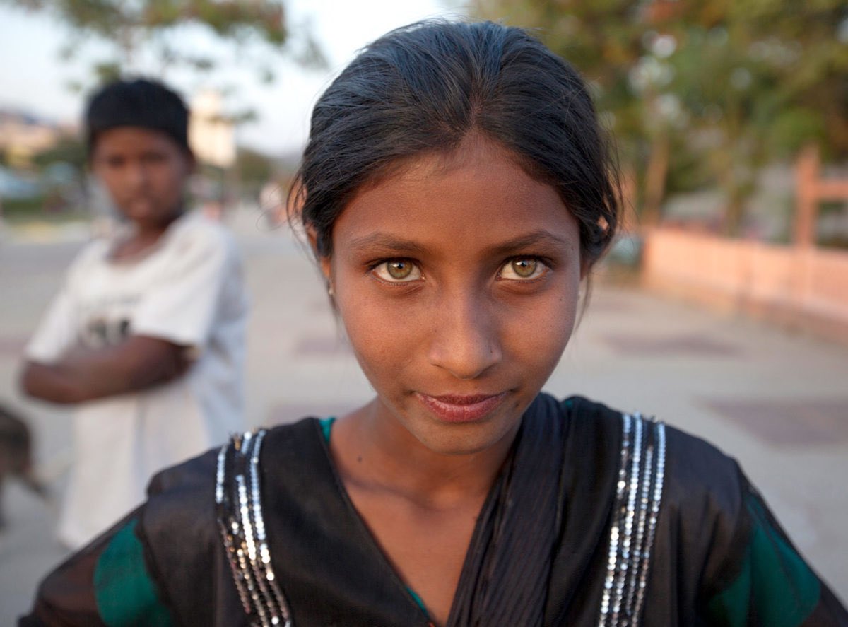 Jeffrey Ross Photo tweet media