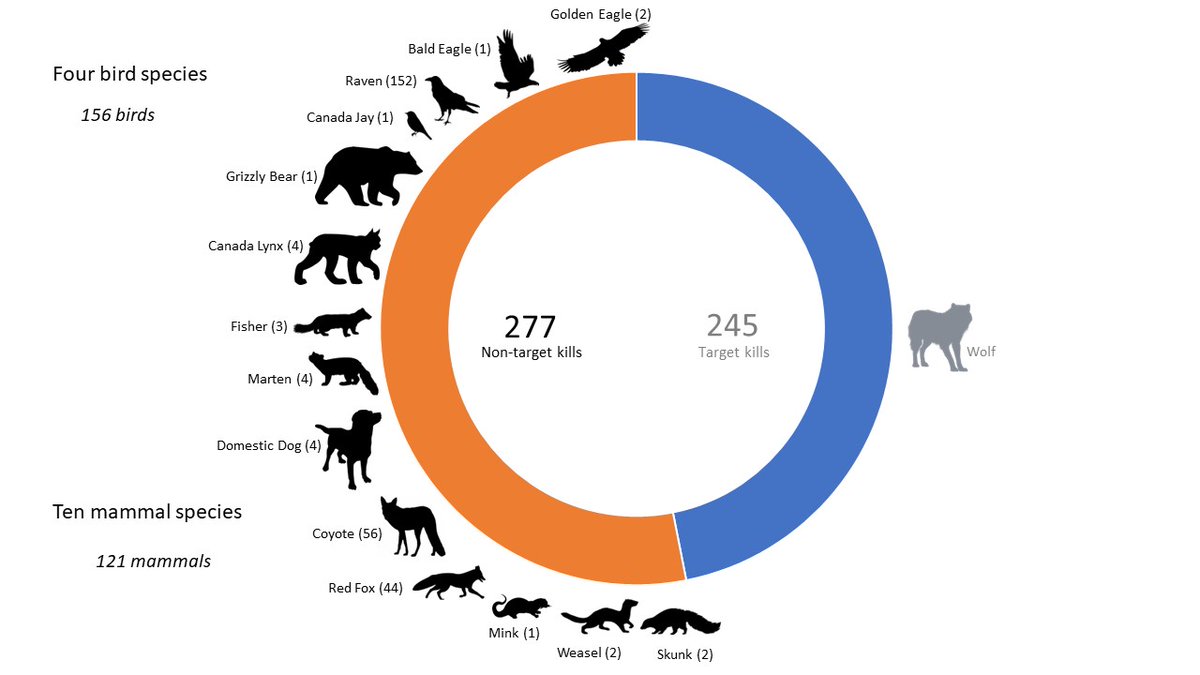 Sadie Parr (@sadie_parr) on Twitter photo canadianfieldnaturalist.ca/.../view/3213/⦠New paper shares min. # species killed in ABās wolf strychnine program 2005ā2020. Fewer wolves were killed compared with non-target animals, including 10 mammal & 4 bird species. I suspect there are even > non-target deaths & suffering caused by 1080. canadianfieldnaturalist.ca/.../view/3213/⦠New paper shares min. # species killed in ABās wolf strychnine program 2005ā2020. Fewer wolves were killed compared with non-target animals, including 10 mammal & 4 bird species. I suspect there are even > non-target deaths & suffering caused by 1080.