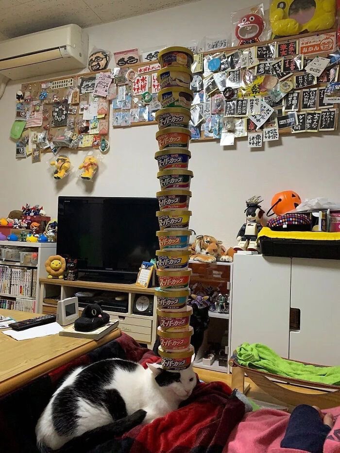 PunchingCat's tweet photo. you can feel the power in this picture https://t.co/WRs6H0qdR5