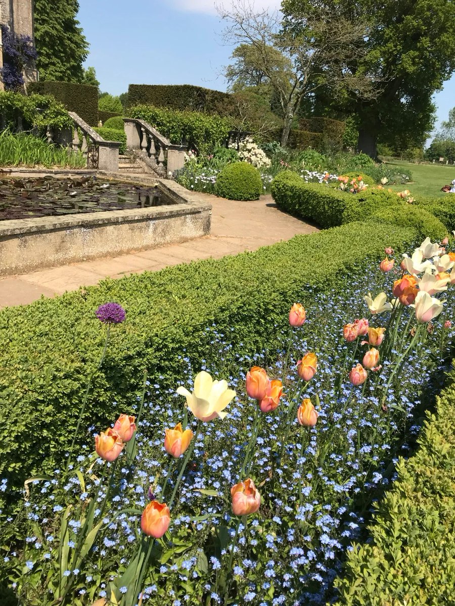 s_aayushman's tweet photo. I took photos of beautiful flowers on holiday. Is it beautiful?🌸🌷 https://t.co/UwX7LUPhTp