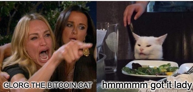Bitcoin $CAT tweet media