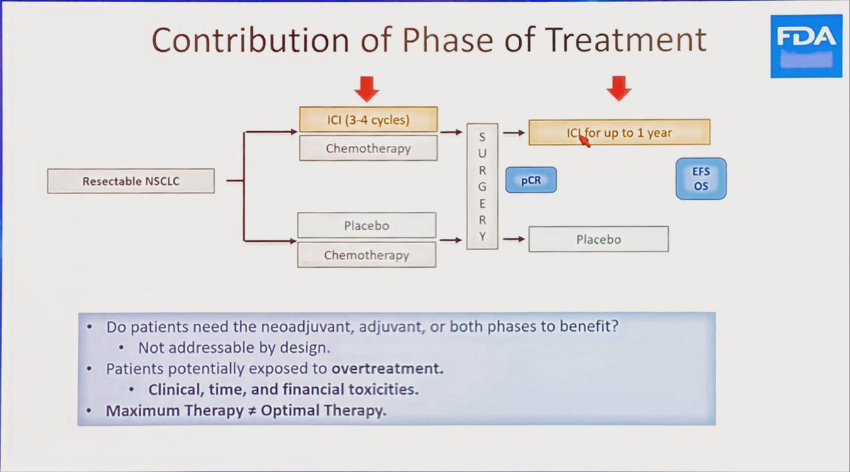 @FDAOncology vision of chemo-immunotherapy positioning in early stages Non Small Cell Lung Cancer at #ASCO24 @OncoAlert