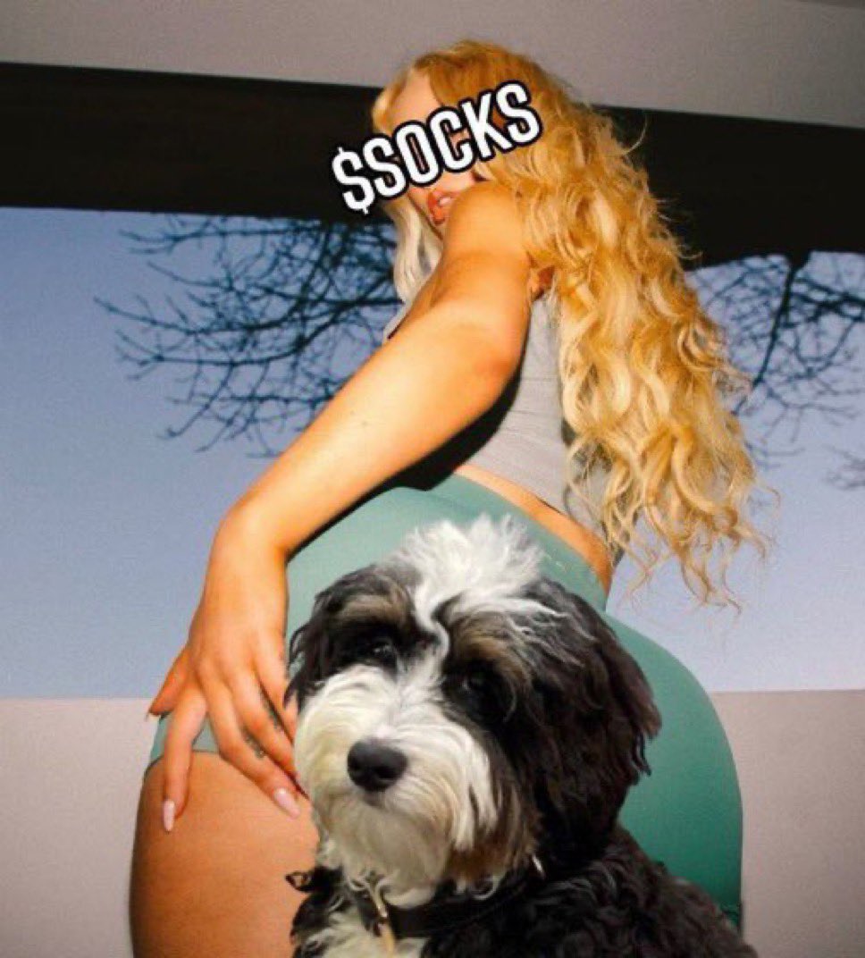 TravBTC's tweet photo. @danielgothits Dan remember when you were early to wif?

Socks is gonna send silly, similarly, grab yourself a bag whilst it sits at these ATLs for the next hour or so 

@MothersDogSocks https://t.co/hLOKUmJmea
