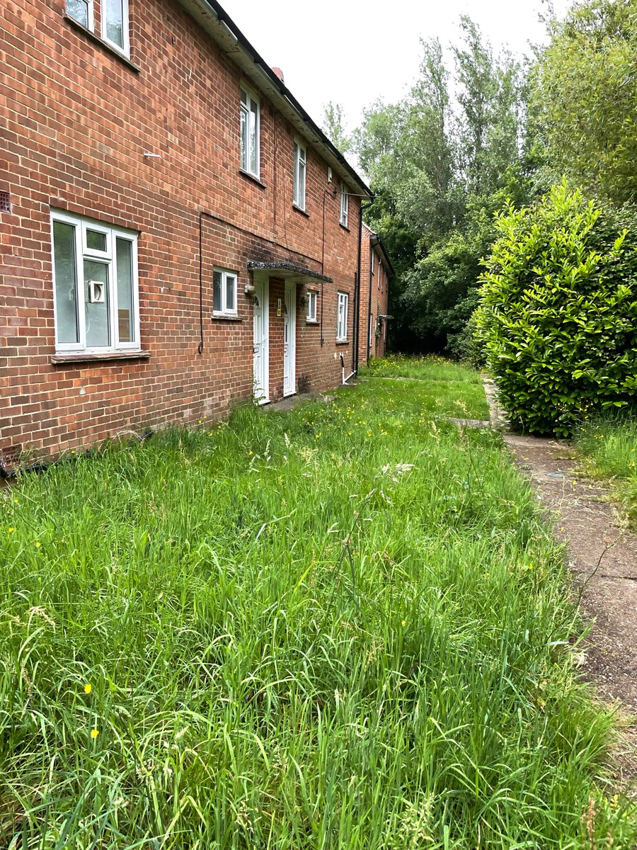 Christine Bayliss tweet media