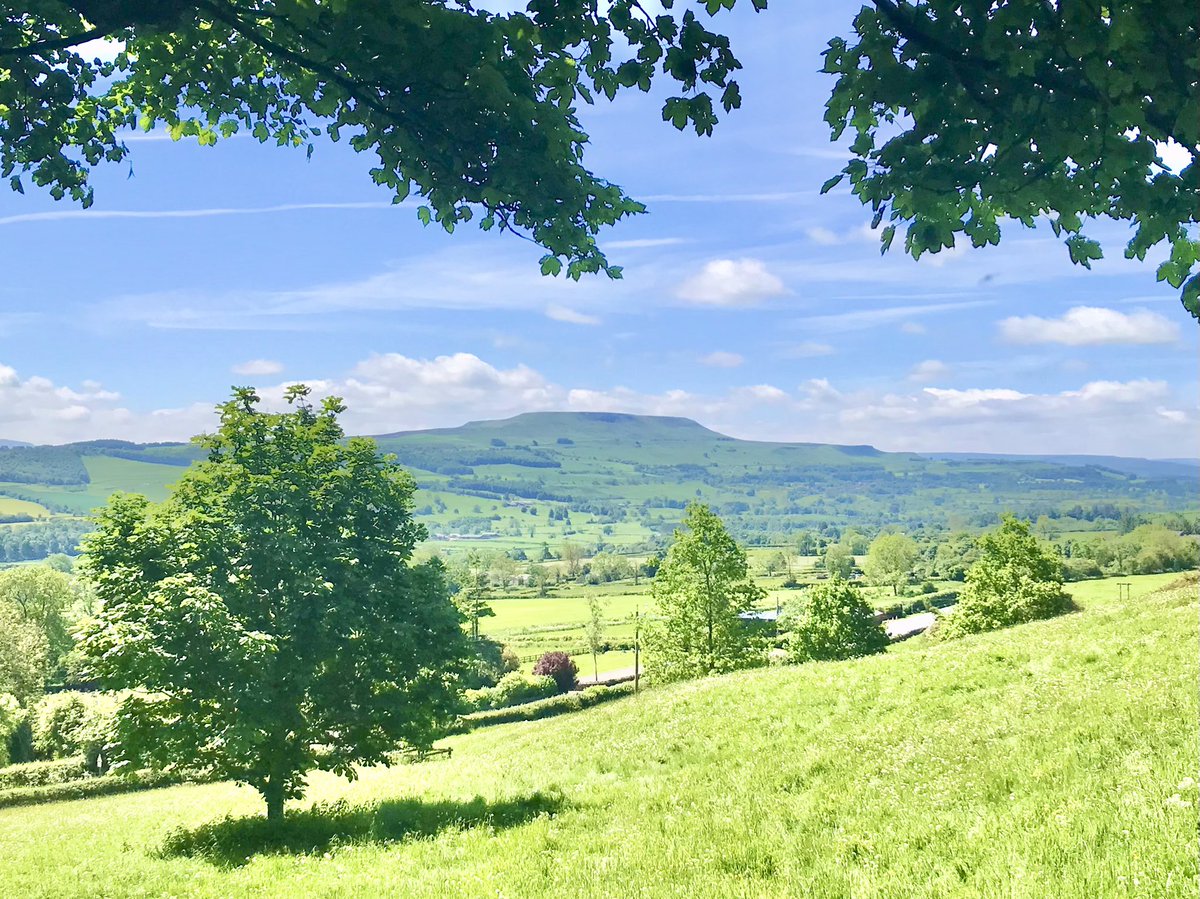 _WildfellHall's tweet photo. A double-dale day out today - pics below in case you’ve forgotten how beautiful #NorthYorkshire is 😉 #Swaledale #Wensleydale #Richmond #Leyburn #RatherBeOutside https://t.co/11DMELztPU