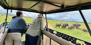 kayta_tours's tweet photo. Let Kayta Tours and Travel be your guide to Kenya’s hidden treasures. Adventure, beauty, and culture await you. 🌍🌿 #KaytaTours #ExploreKenya
rigathi gachagua sakaja defeated father lucian deputy president kalenjins kamba kasarani kikuyus wanyama shujaa https://t.co/vFGthxLcq1