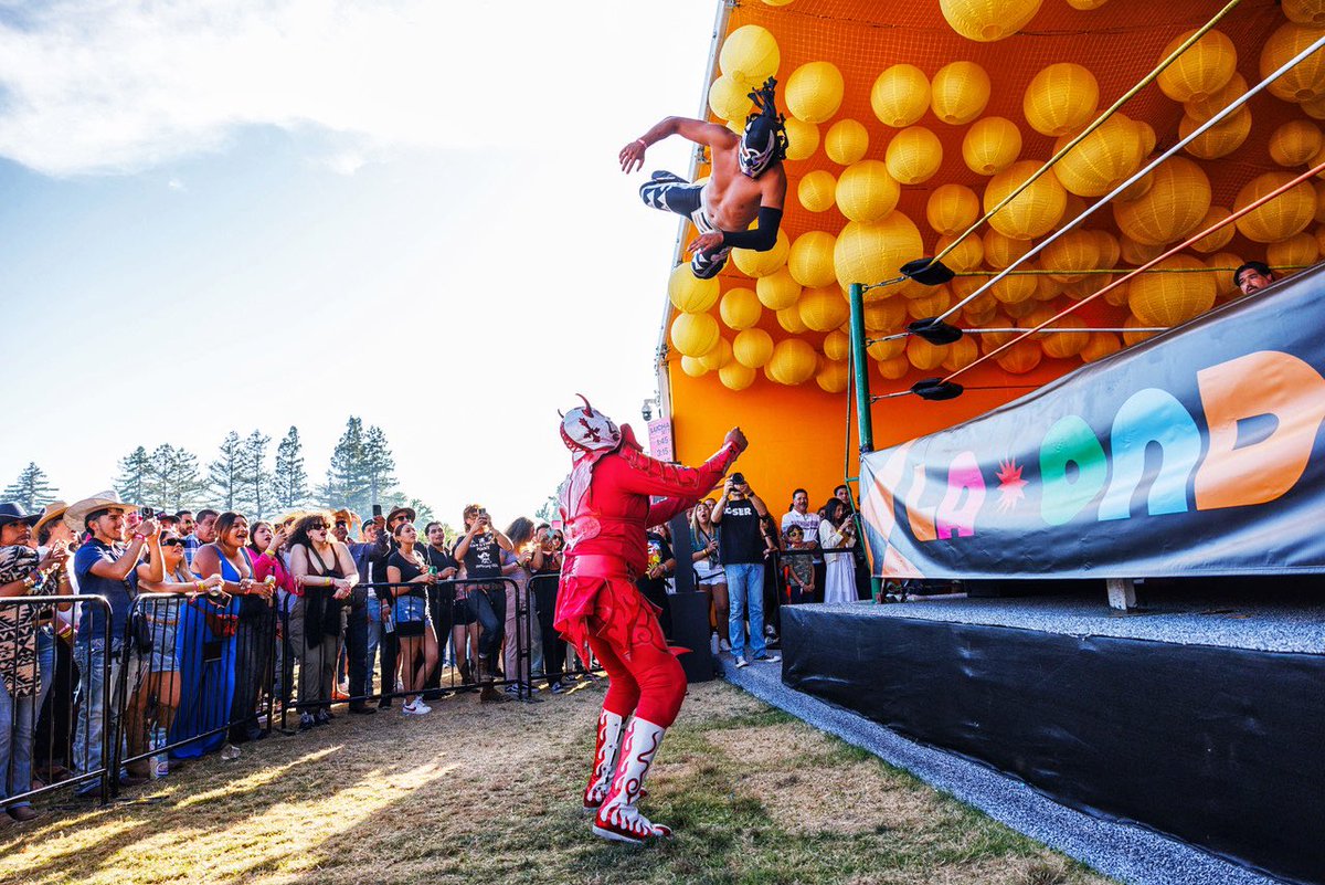 nick otto tweet media