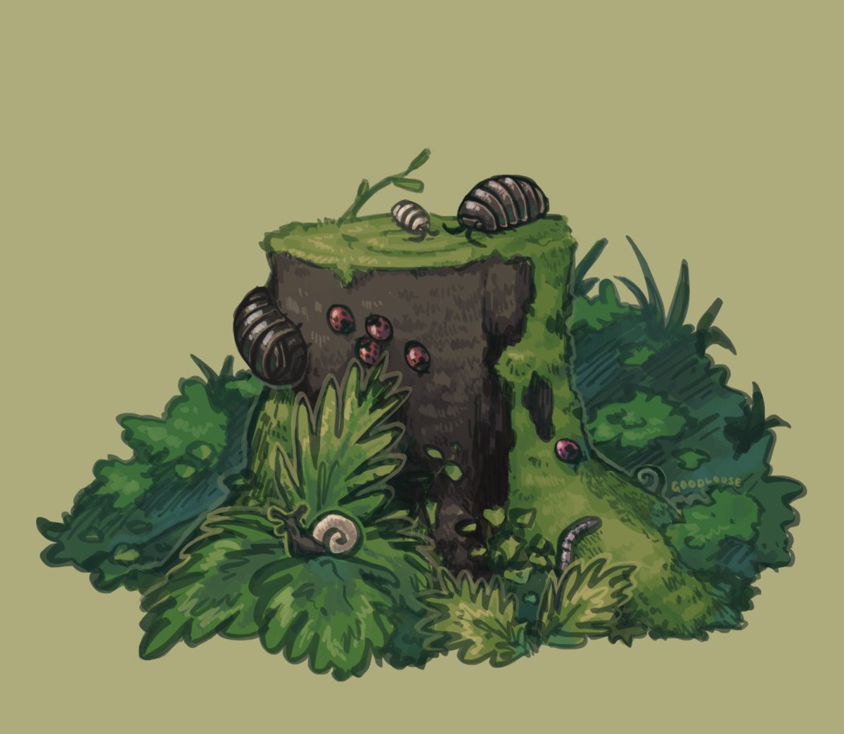goodlouse's tweet photo. hangout spot :) https://t.co/4tbWNQ313D