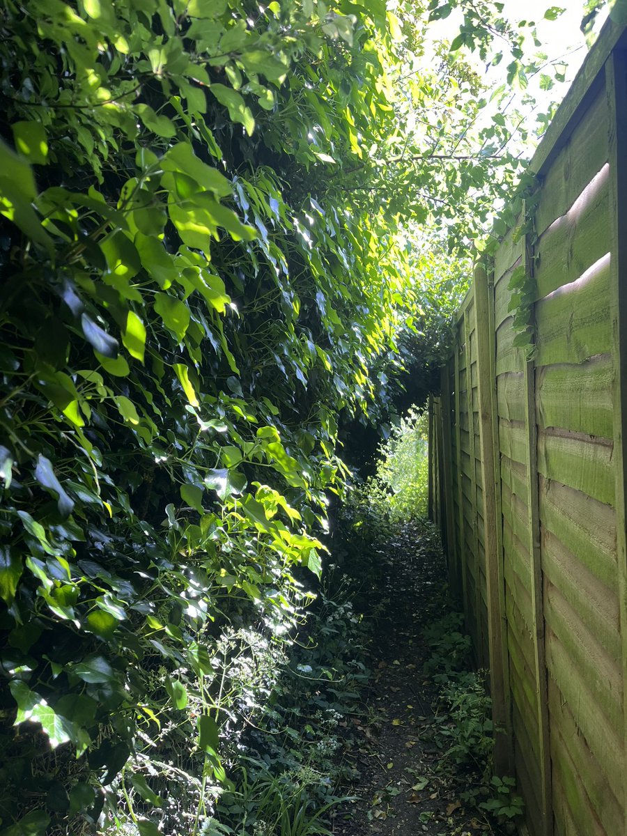 DH_Maintenance's tweet photo. When you have #bankholidays & the #weather is #awful sometimes working on #Sundays is needed to try & help catch up & try to stay on track- so it was a #parishcouncil work day today - the #publicfootpath needed #clearing & #access on #pavement needed a cut back 👍 https://t.co/MRvk3prtdU