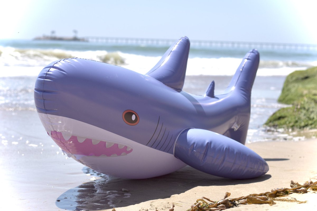 I‘m thinking of sending the <a href="/FluffPuffGer/">FluffPuff</a> Blowhai on a little promotion tour…

Who would be interested? We still need some more orders ! :3

#inflatable #squeaky