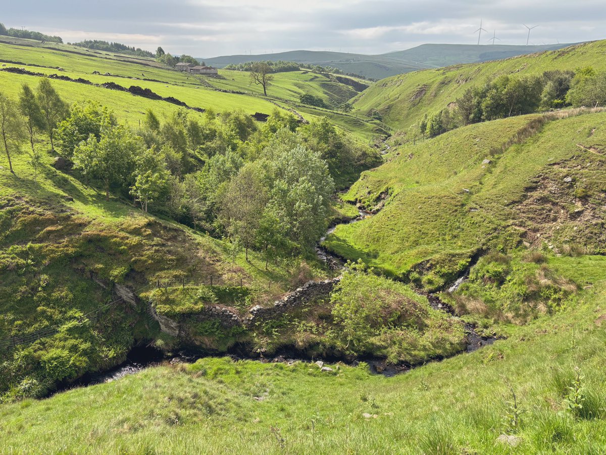 Turned 40 last year and set myself a challenge to walk The Burnley Way in a day: a 40 mile loop of the areas hills, moors, woods and canals. 

Did it on Friday. ✅💪
42 miles, 16 hours of walking and 2 Scafell Pike’s of accent 

Stunning local scenery. Wildlife. 2 sore feet.