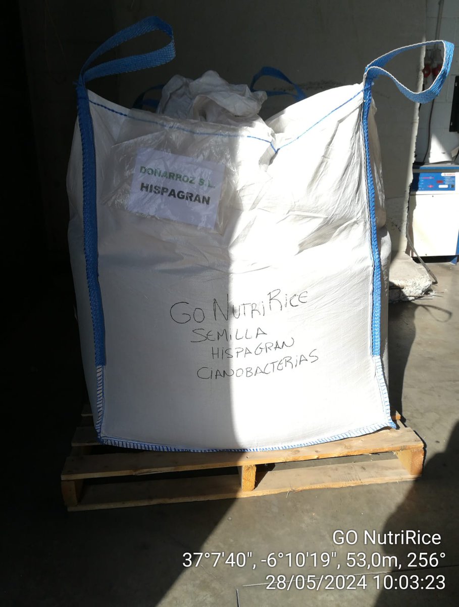 📝 ¡Sigue nuestra cuenta para más actualizaciones sobre #AgriculturaSostenible e #Innovación en el sector arrocero! 📈🚜 #Innovación #ArrozSostenible #GO_NutriRice <a href="/DonarrozSL/">Doñarroz S.L.</a> 
<a href="/ASD_arroces/">Arroces Sostenible de Doñana</a> <a href="/CPLab_IBVF/">CPLab</a>