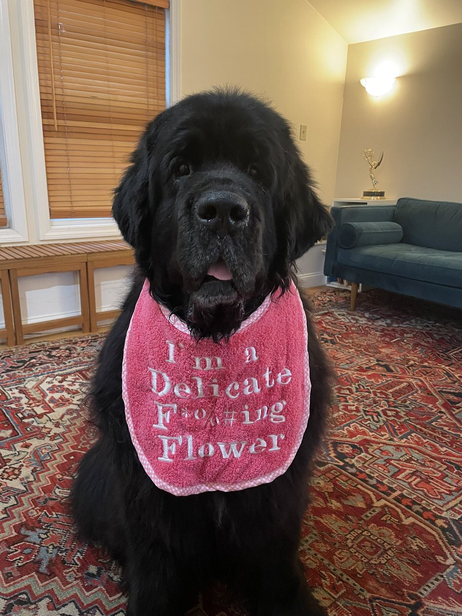 wendy button☮️ tweet media