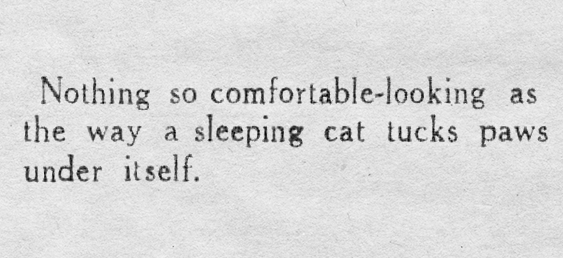 yesterdaysprint's tweet photo. Lincoln Journal Star, Nebraska, June 2, 1933 https://t.co/3ZQSdK2mum